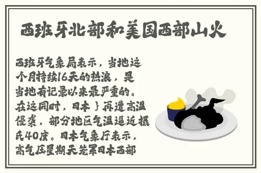 国外麻婆豆腐传媒