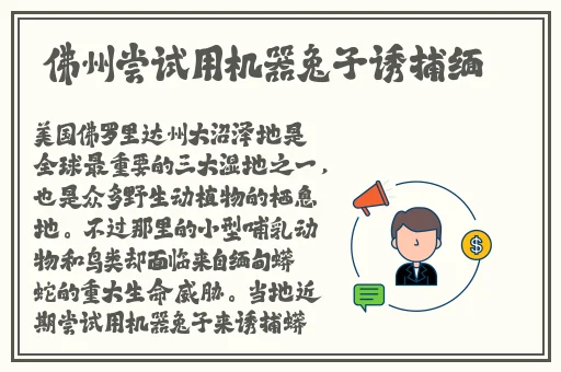 解开乳罩
